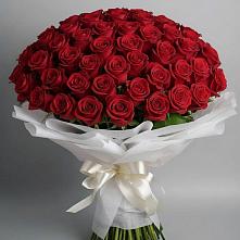 Букет 101 Красная роза Блэк Мэджик в Кадуе