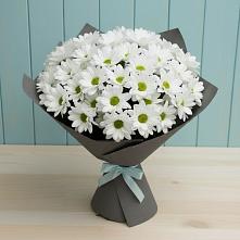 Букет цветов из:  Хризантемы #REPLACE_PRED# Кадуе