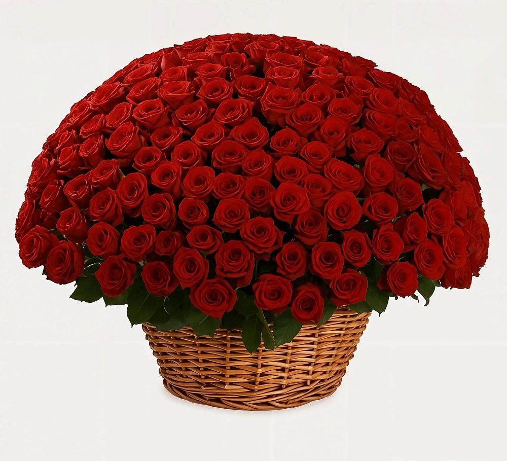 Премиум букет из: Розы в Кадуе