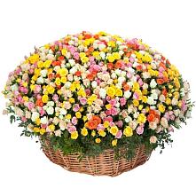 Премиум букет из: Розы #REPLACE_PRED# Кадуе