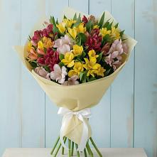 Букет цветов из:  Альстромерии в Кадуе