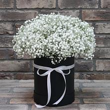 Цветочная композиция из Гипсофила в шляпной коробке #REPLACE_PRED# Кадуе