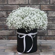 Цветочная композиция из Гипсофила в шляпной коробке в Кадуе