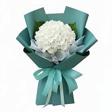Букет цветов из:  Гортензия в Кадуе